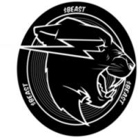 Based Beast Coin