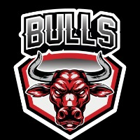 Bulls Coin