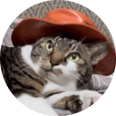 cat wif hat