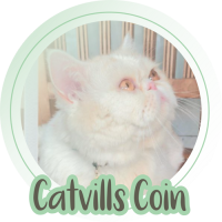 Catvills Coin