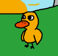 Didi Duck