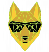 Dingo Token