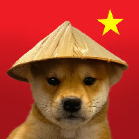 DOG WIF CHINESE HAT