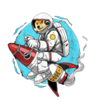 Doge-1 Mission to the moon