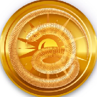 Lunar Snake Coin