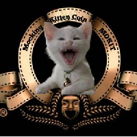 Mocking Kitten Coin