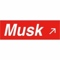 Musk DAO