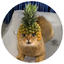 Pineapple Cat